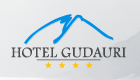 Hotel Gudauri Hotel Gudauri